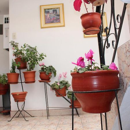 Kennedy Guest House Cusco Extérieur photo
