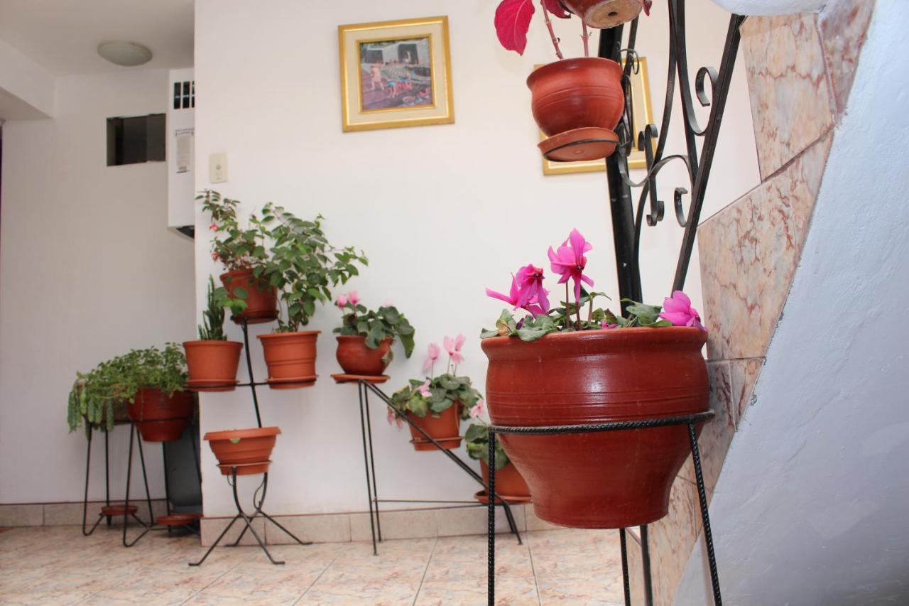 Kennedy Guest House Cusco Extérieur photo